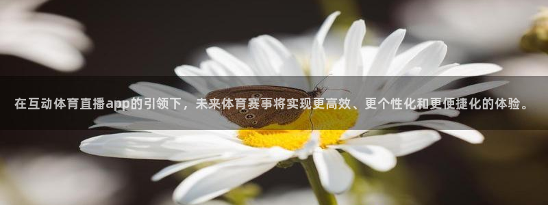 在互动体育直播app的引领下，未来体育赛事将实现更高效、更个性化和更便捷化的体验。