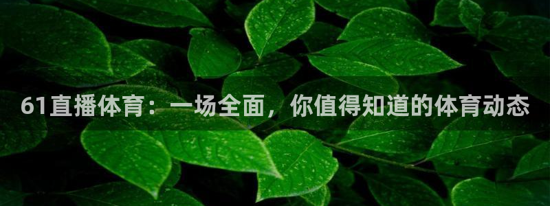 新闻图片