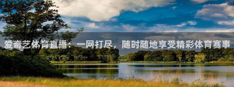 爱奇艺体育直播：一网打尽，随时随地享受精彩体育赛事
